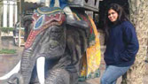 Campus Placement