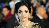 Bollywood Biz